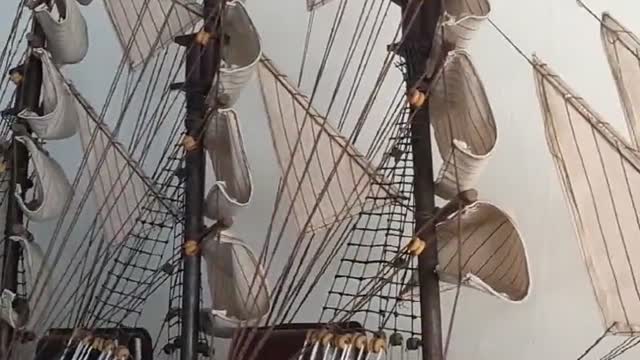 root carving like a sailboat