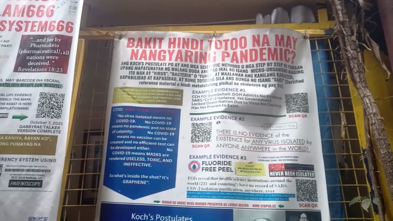 All SCAMDEMIC tarpaulins and infographic evidence/references outside our house