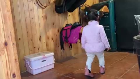 The cutest little toddler horse rider and her pony