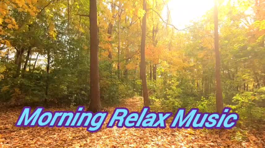 Morning Relaxing Music