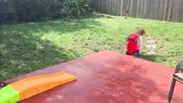 video of beautiful, cute, funny babies