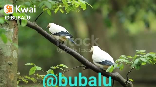 Naturaleza maravillosa