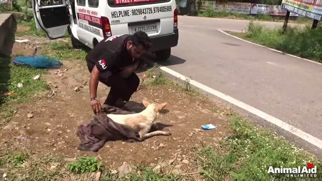 training video
