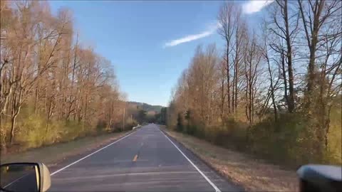 A Road-Kill Chronicle On Alabama Highway 9