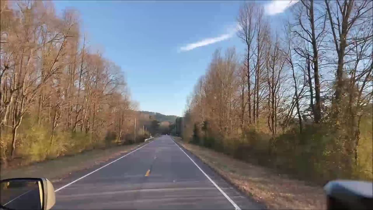 A Road-Kill Chronicle On Alabama Highway 9