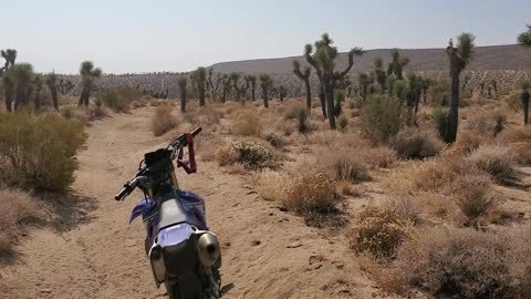 Quiet Desert Trails