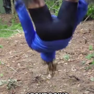 #21 Tensions Rise Around the Campfire_ Will They Stick Together_