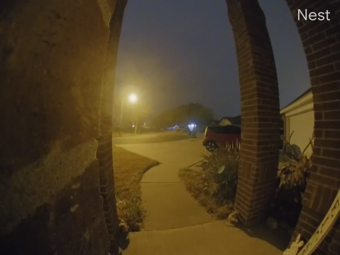 Cat Steals Fake Bunny From Front Porch