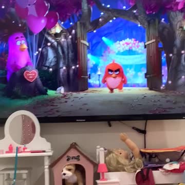 Angry bird video