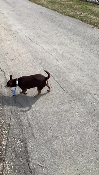 Spring walk on the river walk