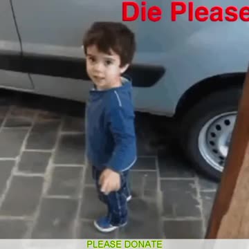 My brother pushed me kickstarter to put him down vine