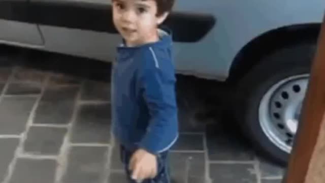 My brother pushed me kickstarter to put him down vine