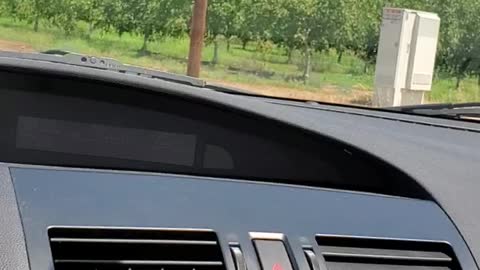 PREYINGHAWK REPORT #43: WHAT'S HAPPENING GLENN COUNTY? CCP, SOROS AND BILL HATES