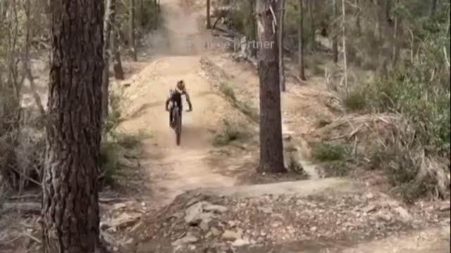 Bicycle stunt riders