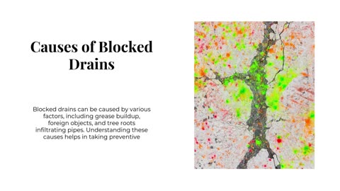 Understanding and Resolving Blocked Drains in Paddington: A Comprehensive