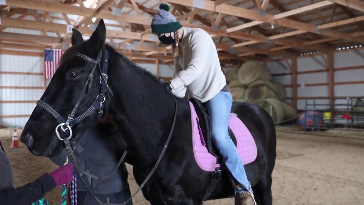 Behavioral Health Team Discusses Equine Therapy