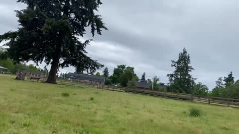 The German Shepherd Attacks Pitbull OFF LEASH DOG PARK (SHEPHERD VS PITBULL)