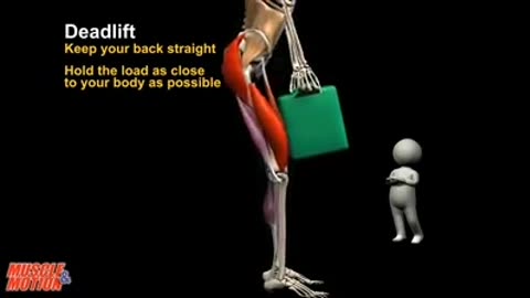 How to safely and properly carry heavy objects - Muscle and Motion.