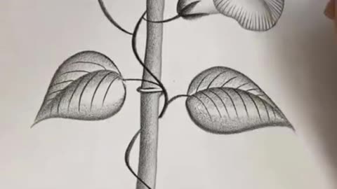Incredible pencil art—lifelike drawings that amaze! 🖊️✨ #ArtMagic