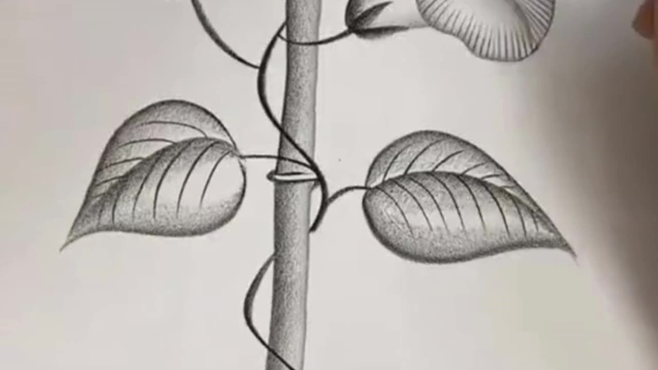 Incredible pencil art—lifelike drawings that amaze! 🖊️✨ #ArtMagic
