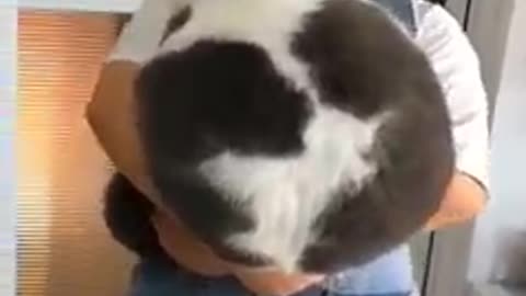 This cats though