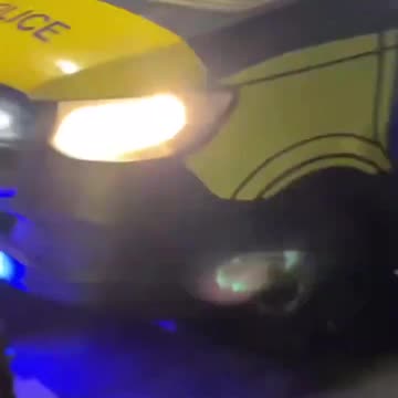 British Police too cowardly (or under orders) not to arrest Brown or Black immigrants