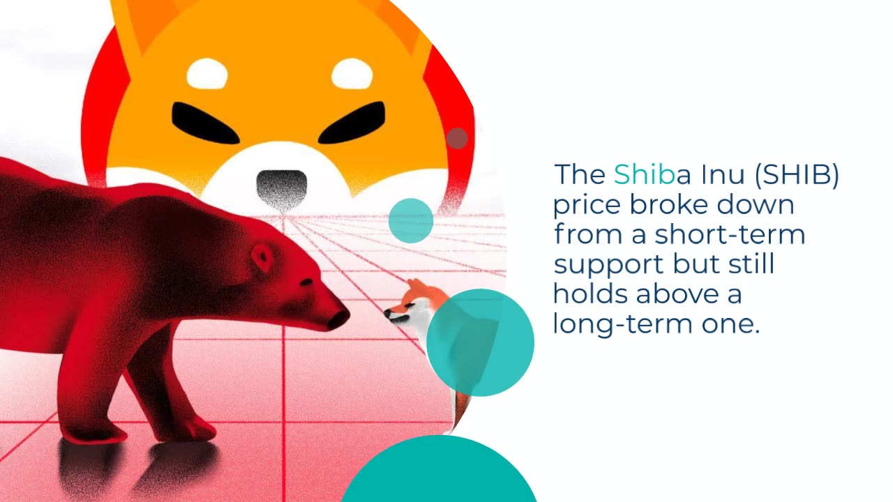 Analyzing Shiba Inu’s (SHIB) Break Down – Will the Long-Term Support Hold?