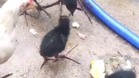Mother's Love #shorts #viral #shortsvideo #video