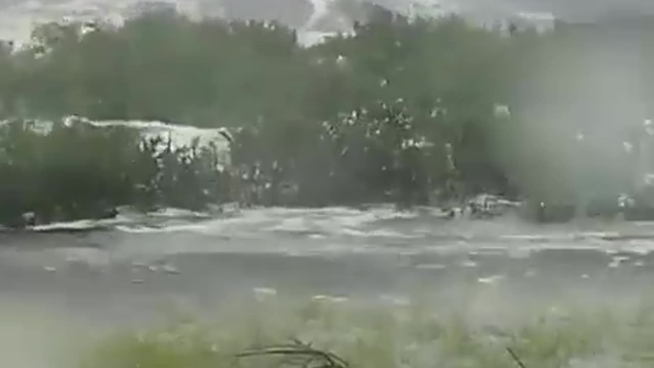 This is why mangroves are important