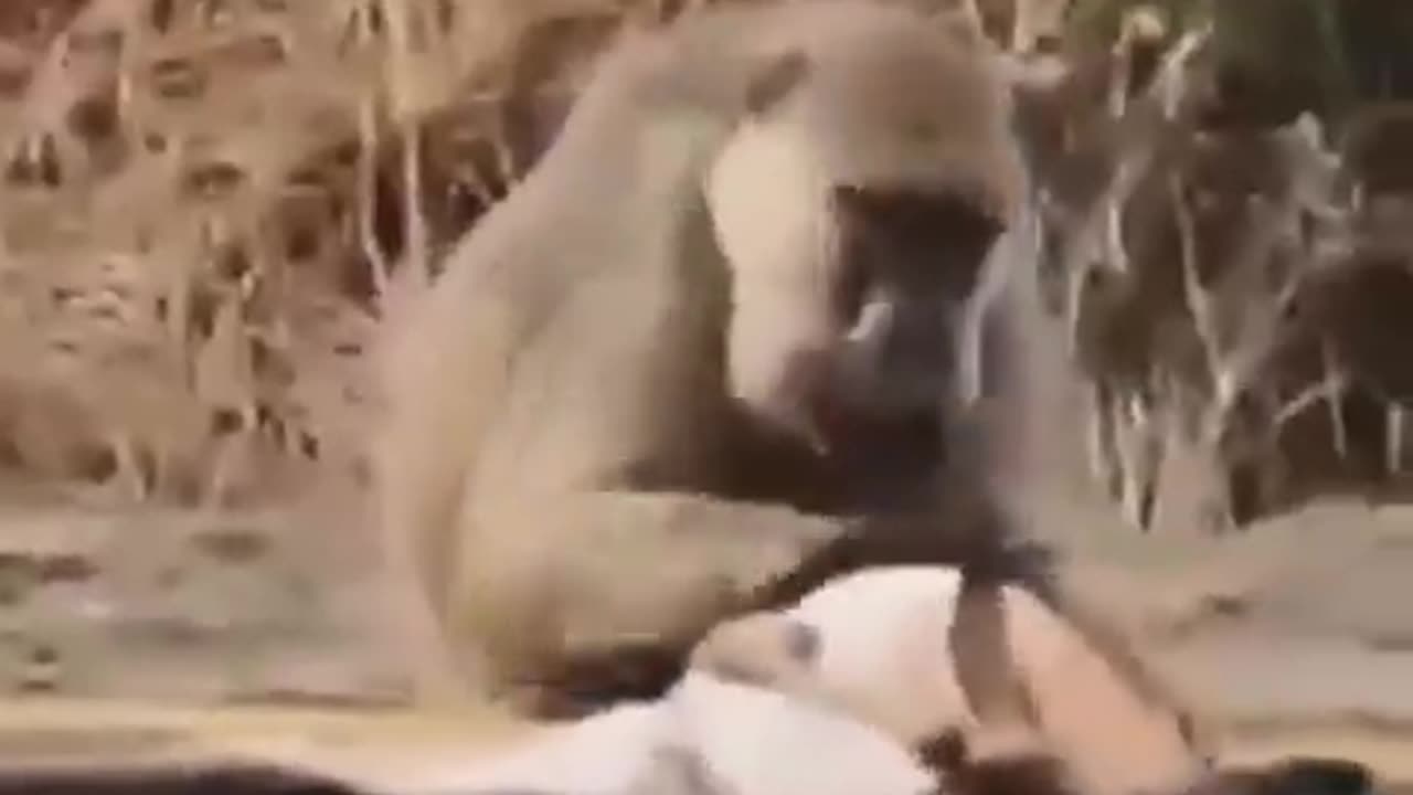 Eaten Alive