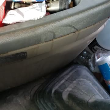 Deer head in passenger seat