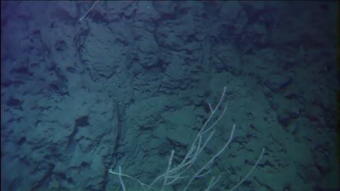 look at this underwater volcano - emitting smoke