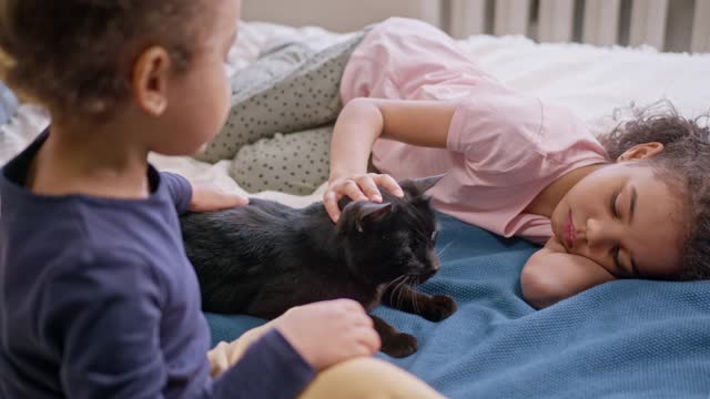 Cat by talking to him