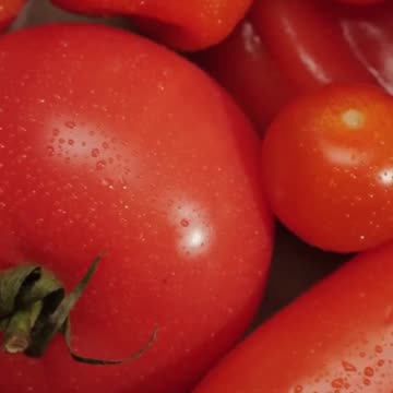 Story of the trial held against tomatoes in 1820