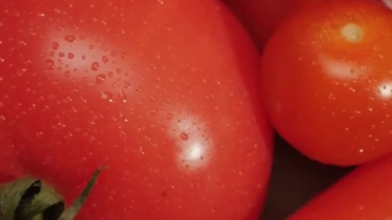 Story of the trial held against tomatoes in 1820