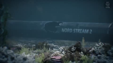 Europe's Underwater Cables Were Cut -- Accident or Sabotage?