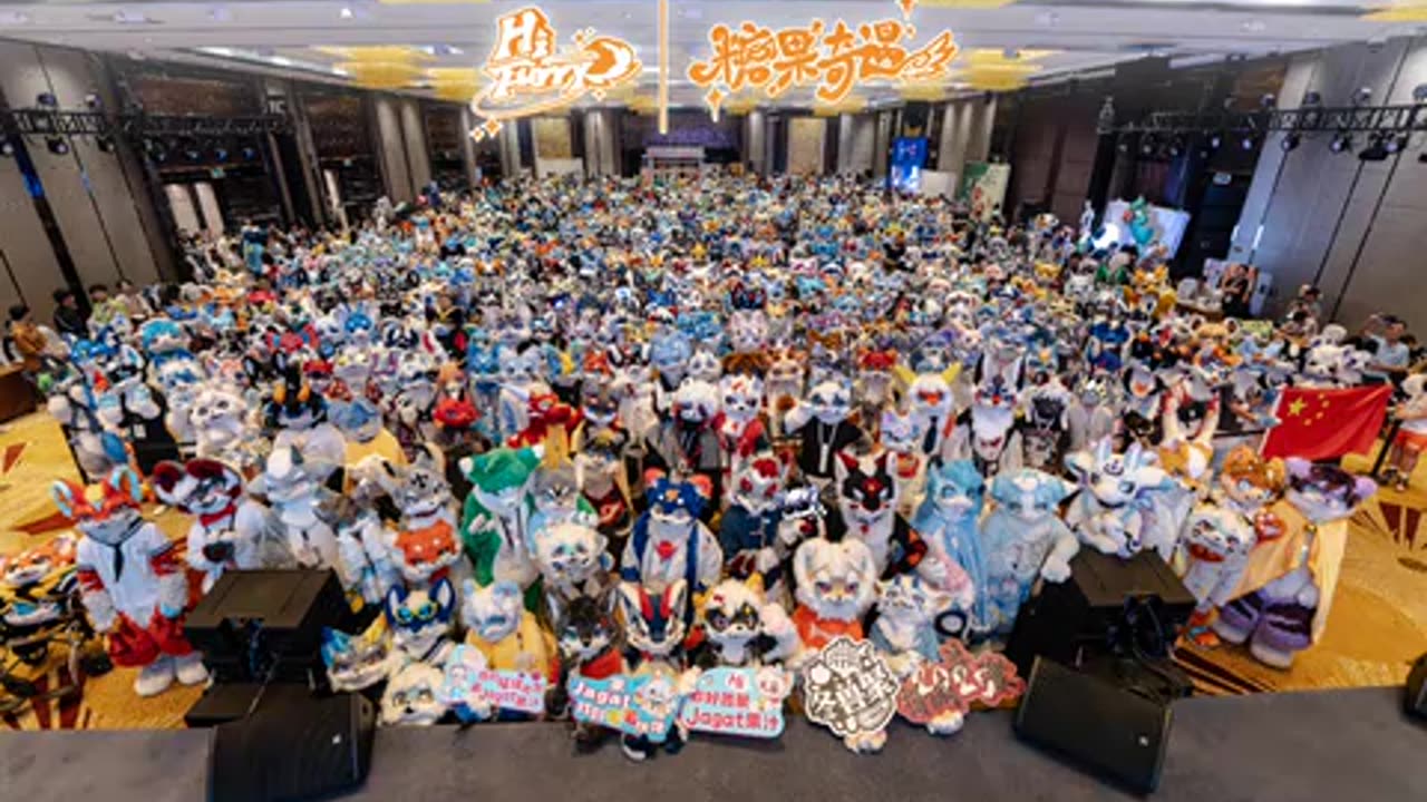 期待与你们再会！