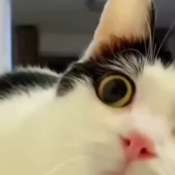 Oh My God😰Watch for and 😅😳 Please Support like 👍