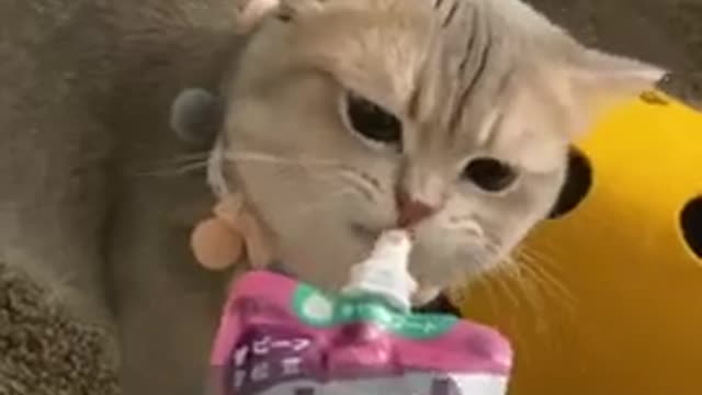 It’s mine! 🥺🥺🥺🤪🤪🤪