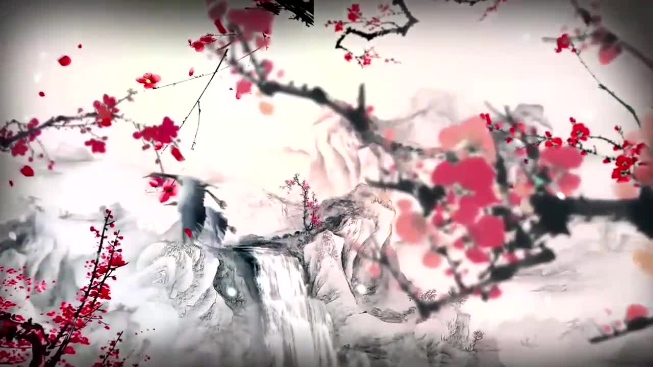 Snow mountain plum blossom stage background video