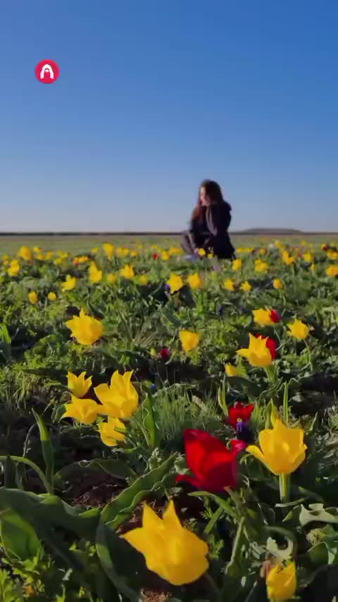 Flowers make the world look and smell awesome