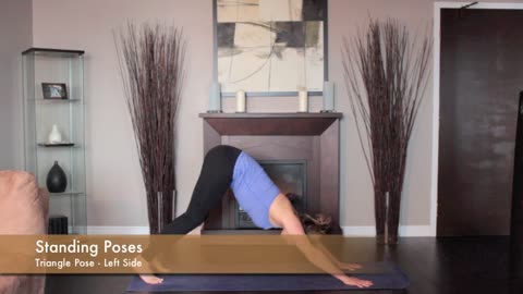 yoga pose - triangle left