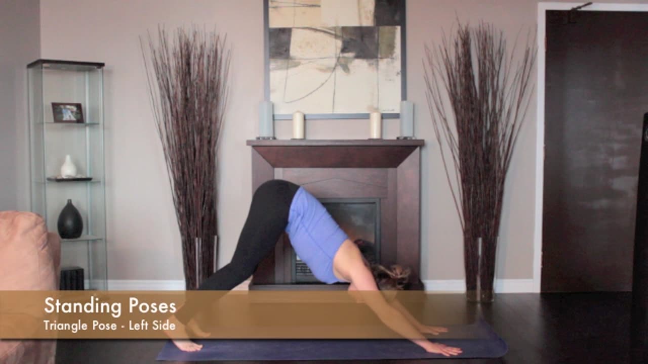 yoga pose - triangle left