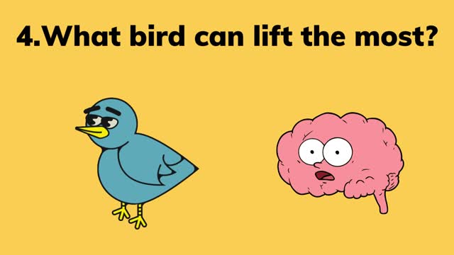 if you can answer this 10 riddles your iQ is over 100
