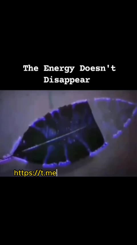 The phantom Leaf effect in Kirlian Photography