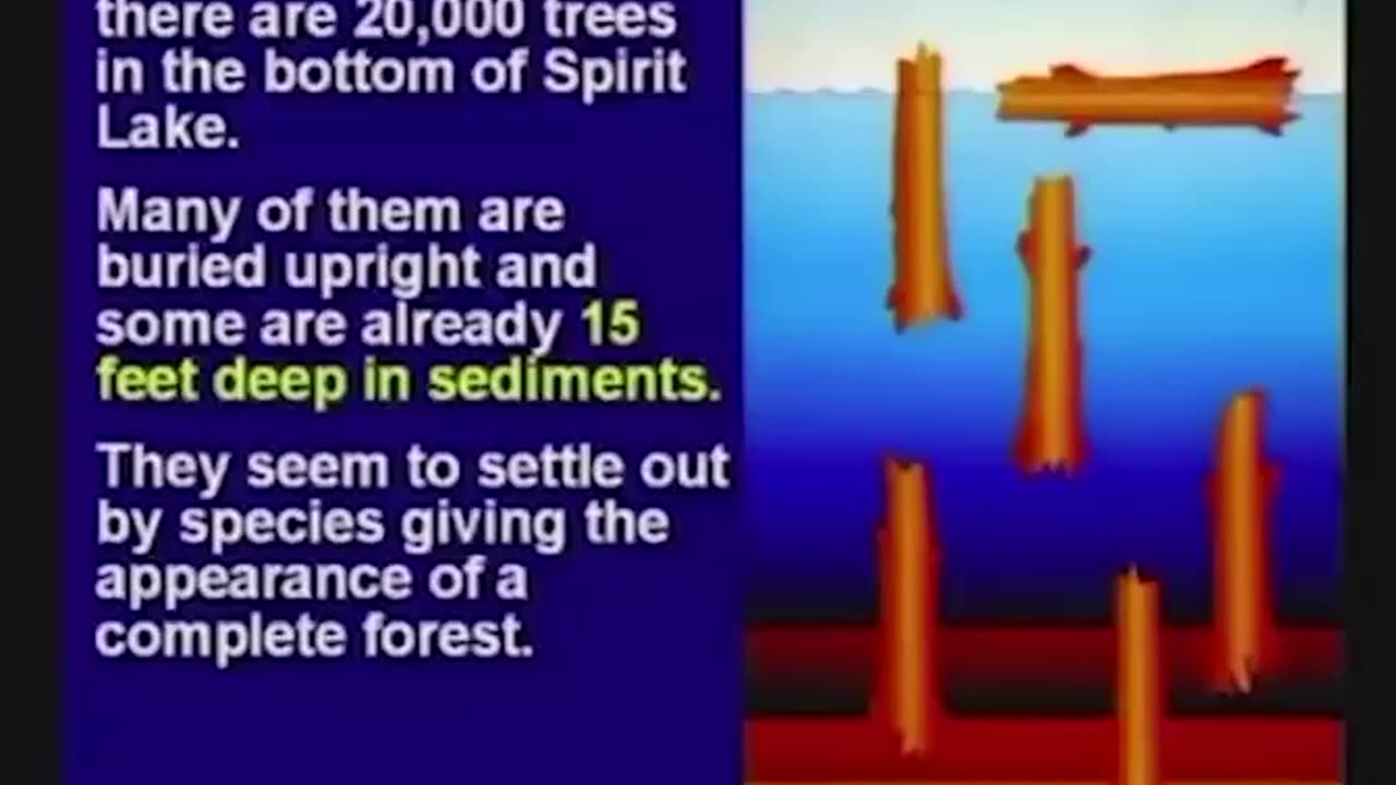 Kent Hovind Petrified Trees Disprove Evolution