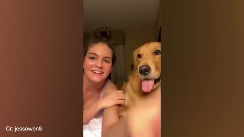 Dogs Being Funny More Than Usual