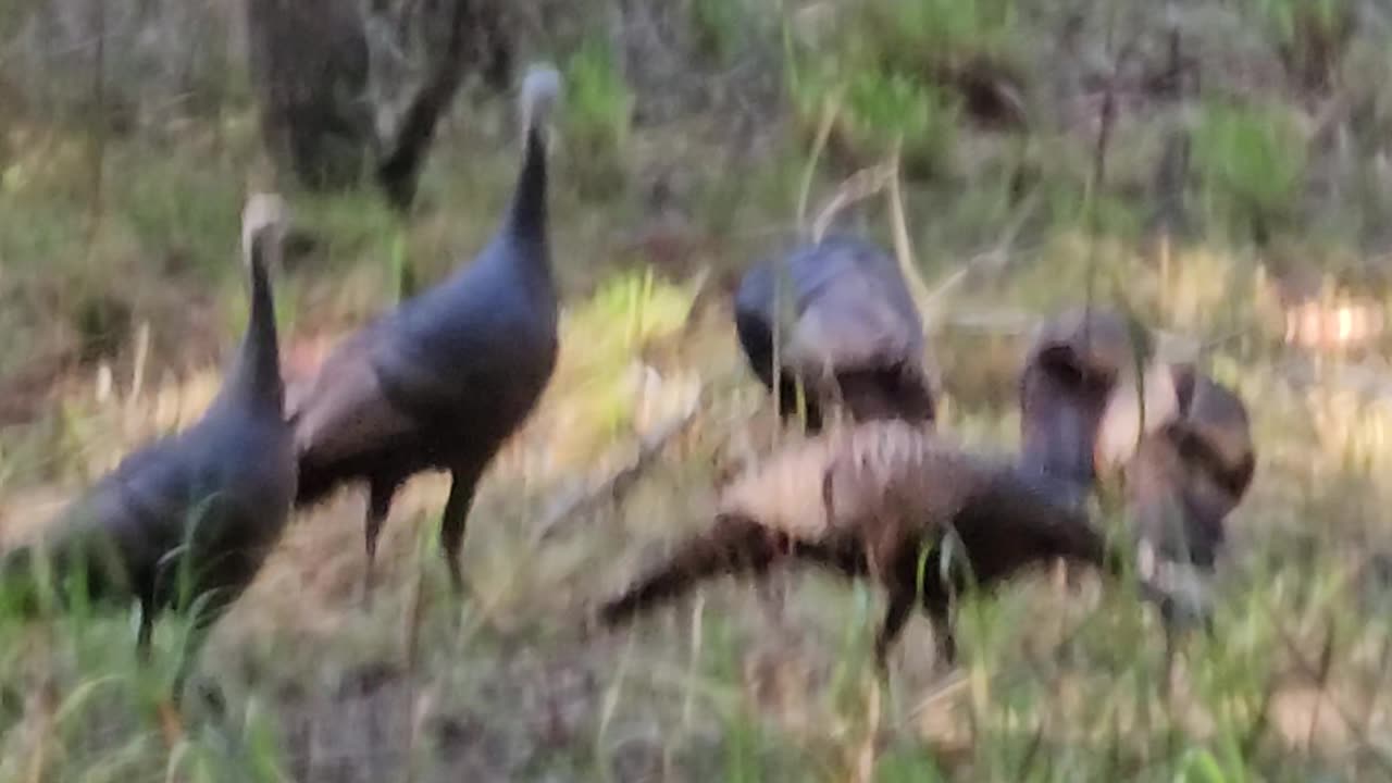 Teasing me and I am armed.