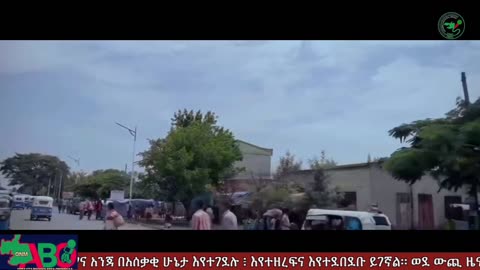 ጥቅምት 20፣ 2024 ONM-ABO እለታዊ የኦሮሞ ነፃነት ሰራዊትና የኦሮሚያ ውሎ!