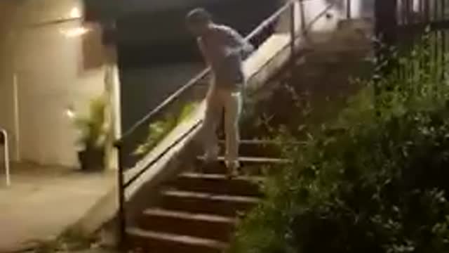 Intel man dives into bush